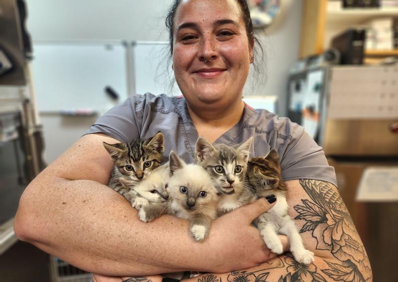 Carousel Slide 6: We love our kitties (and Lindsey)!