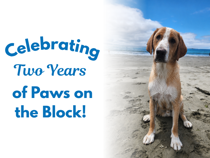 Celebrating Two Years of Paws on the Block