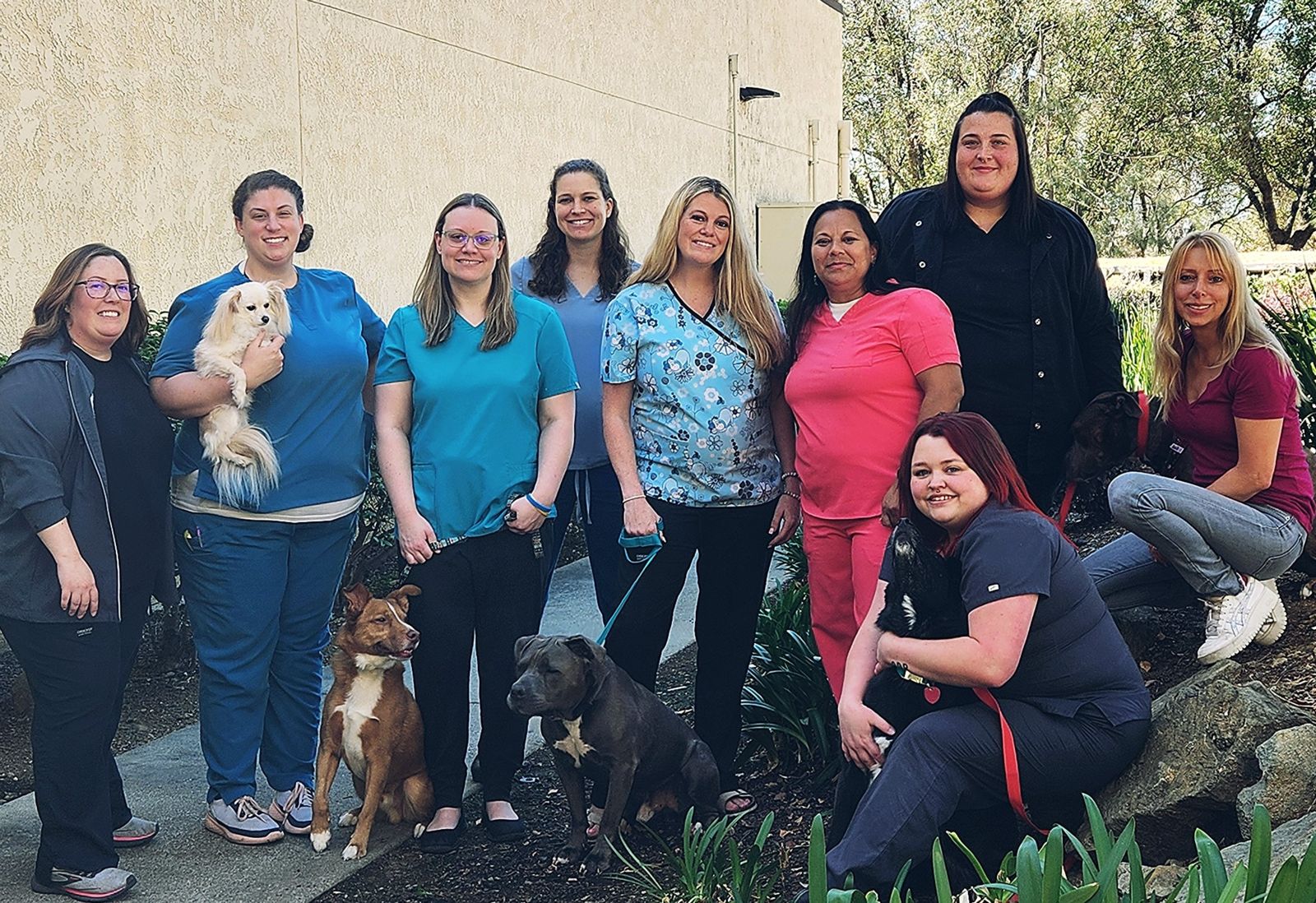 veterinarians El Dorado Hills